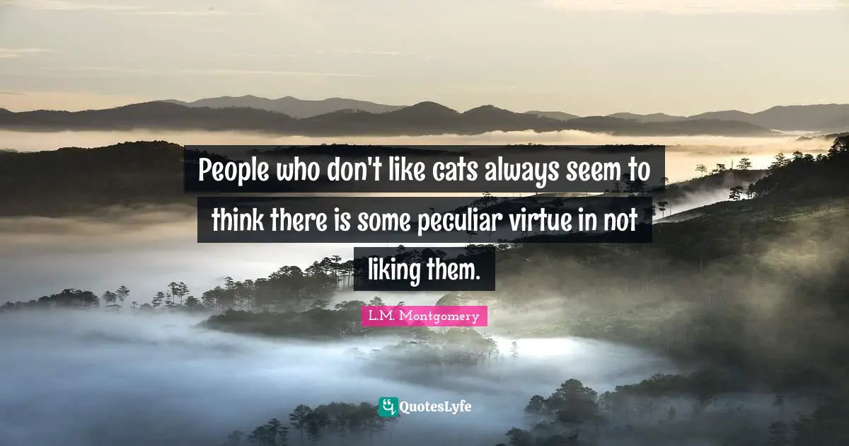 People who don't like cats always seem to think there is some peculiar virtue in not liking them.