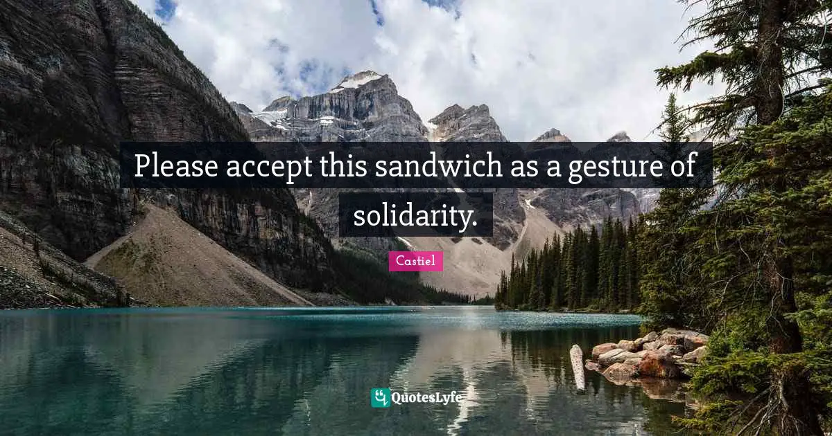 Please accept this sandwich as a gesture of solidarity.