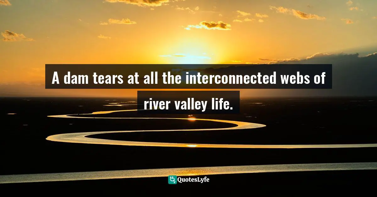 Dams Quotes: "A dam tears at all the interconnected webs of river valley life."