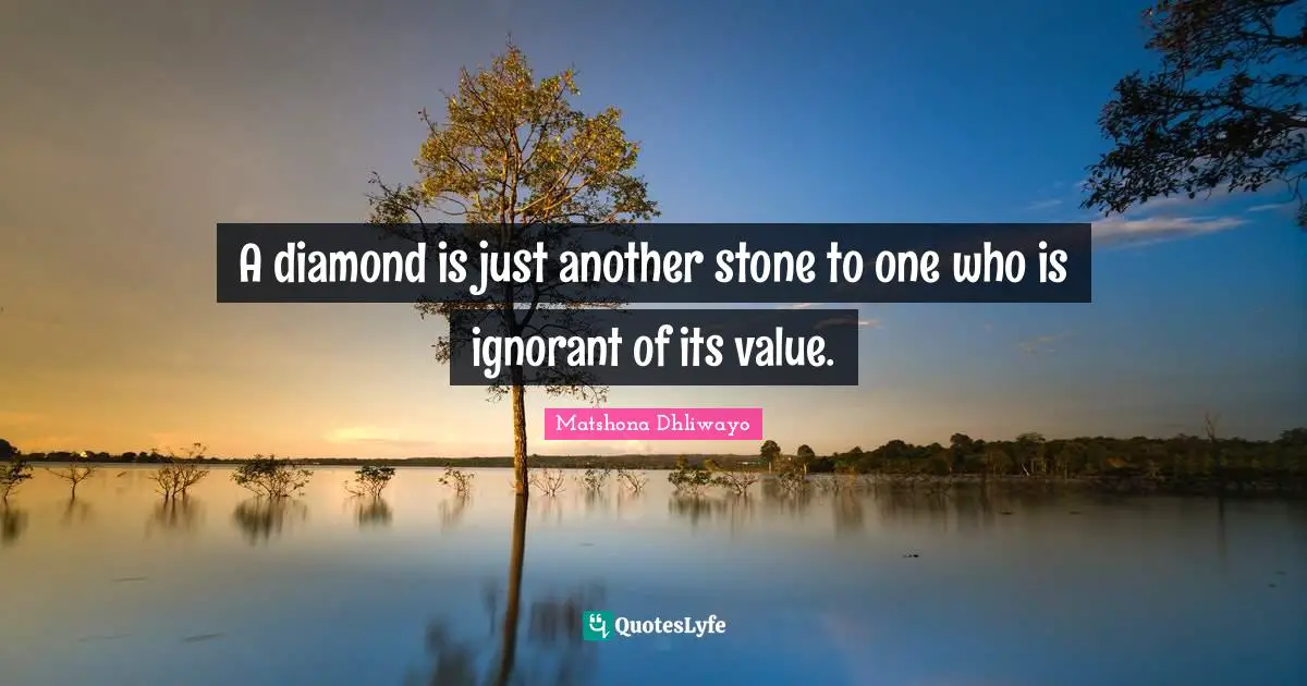 A diamond is just another stone to one who is ignorant of its value.