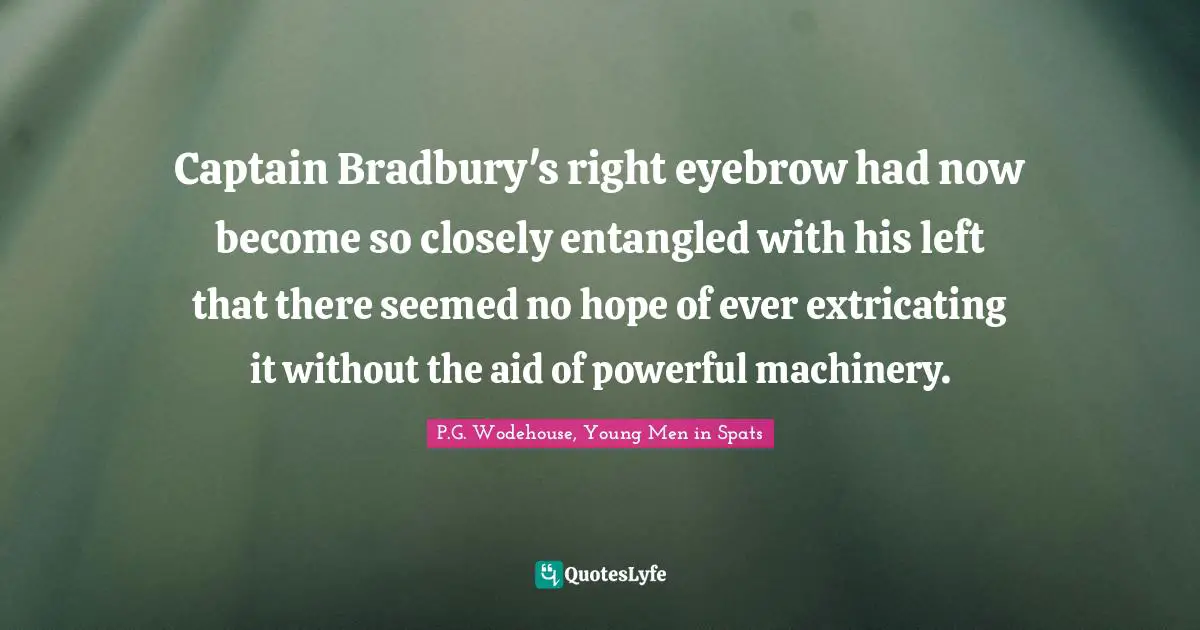 Captain Bradbury's right eyebrow had now become so closely entangled with his left that there seemed no hope of ever extricating it without the aid of powerful machinery.