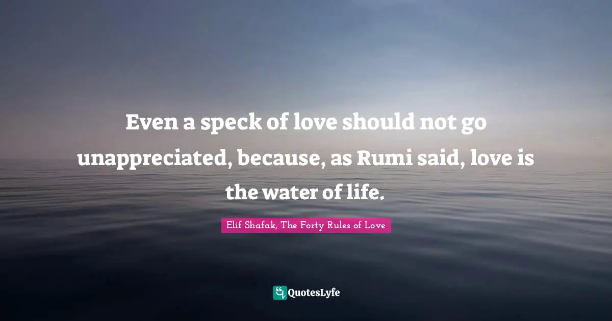 Even a speck of love should not go unappreciated, because, as Rumi said, love is the water of life.