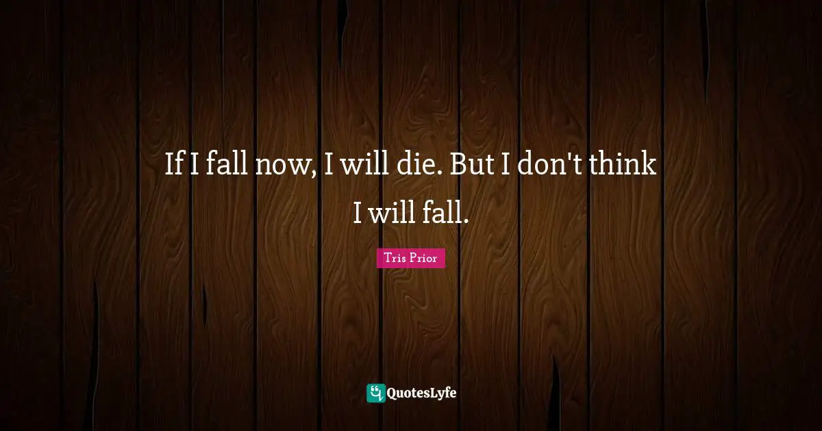 If I fall now, I will die. But I don't think I will fall.