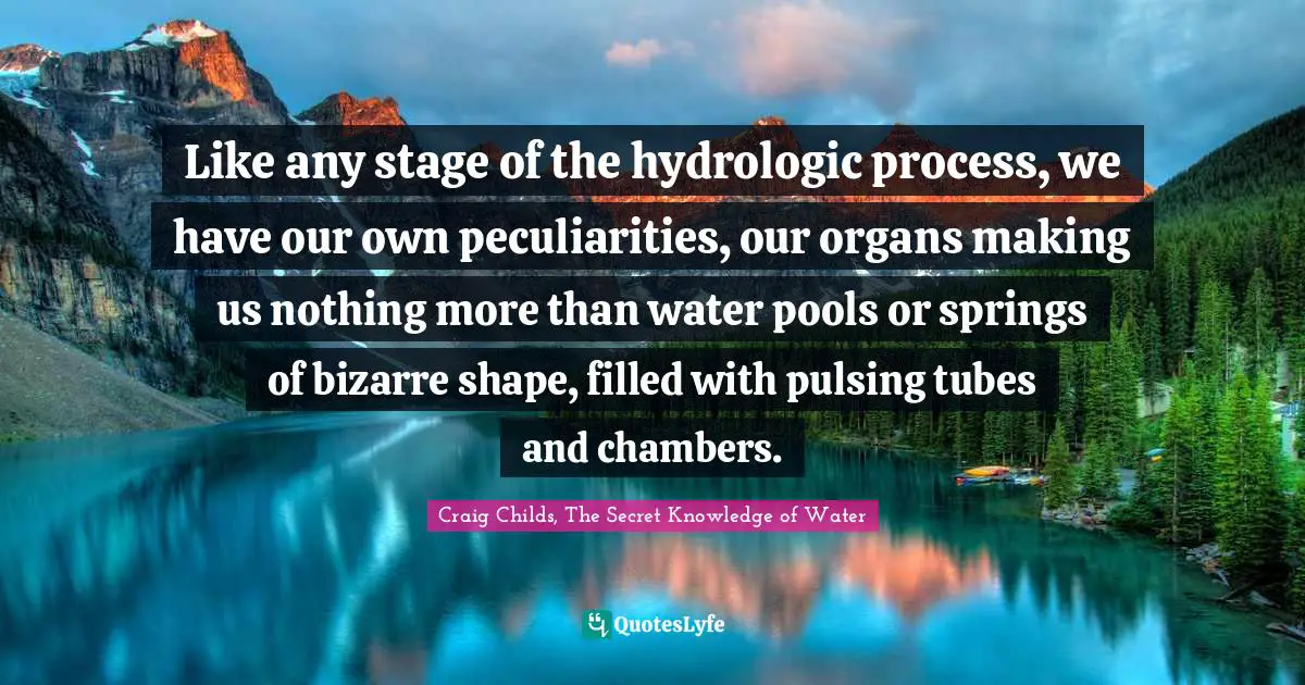 Like any stage of the hydrologic process, we have our own peculiarities, our organs making us nothing more than water pools or springs of bizarre shape, filled with pulsing tubes and chambers.