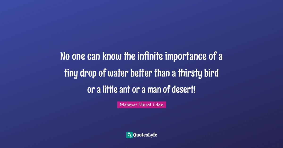 No one can know the infinite importance of a tiny drop of water better than a thirsty bird or a little ant or a man of desert!