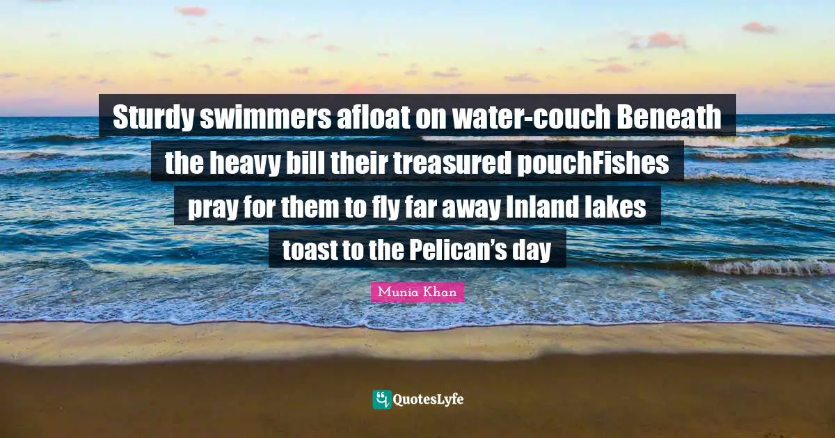Sturdy swimmers afloat on water-couch Beneath the heavy bill their treasured pouchFishes pray for them to fly far away Inland lakes toast to the Pelican’s day