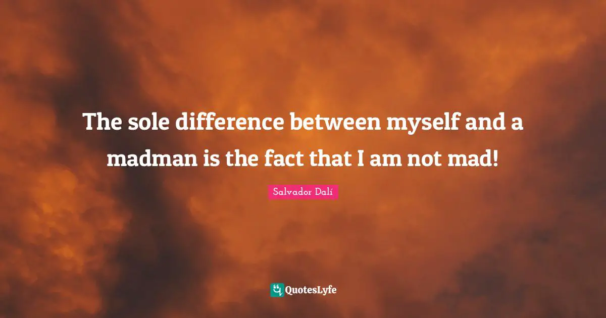 The sole difference between myself and a madman is the fact that I am not mad!