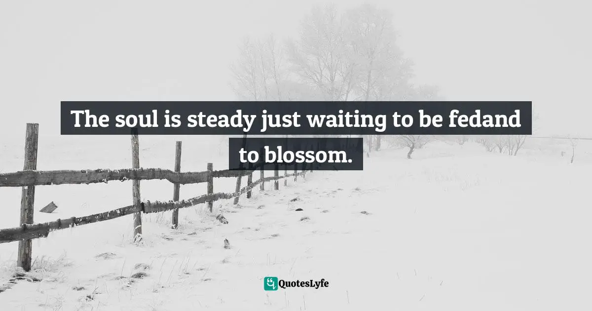 The soul is steady just waiting to be fedand to blossom.