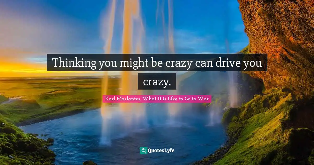 Karl Marlantes, What It Is Like To Go To War Quotes: "Thinking you might be crazy can drive you crazy."