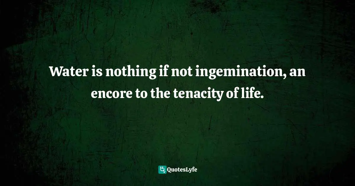 Water is nothing if not ingemination, an encore to the tenacity of life.