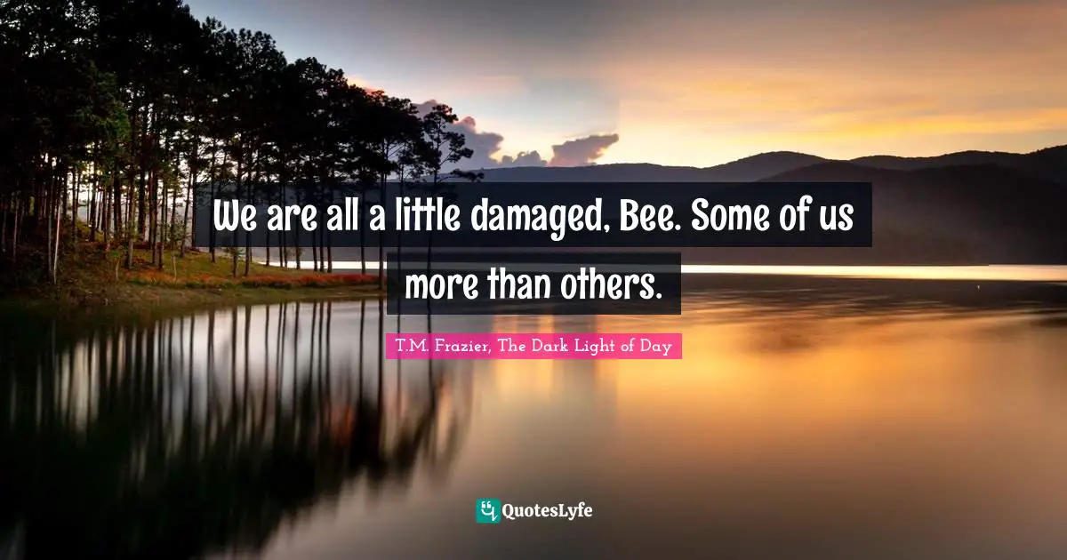 We are all a little damaged, Bee. Some of us more than others.