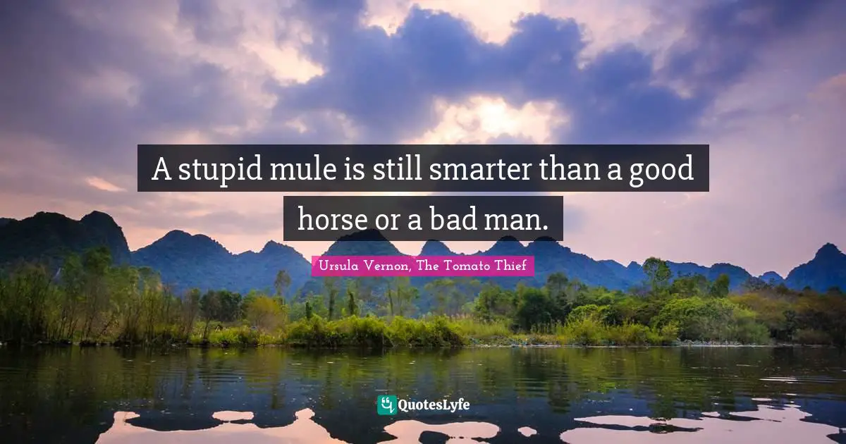 A stupid mule is still smarter than a good horse or a bad man.