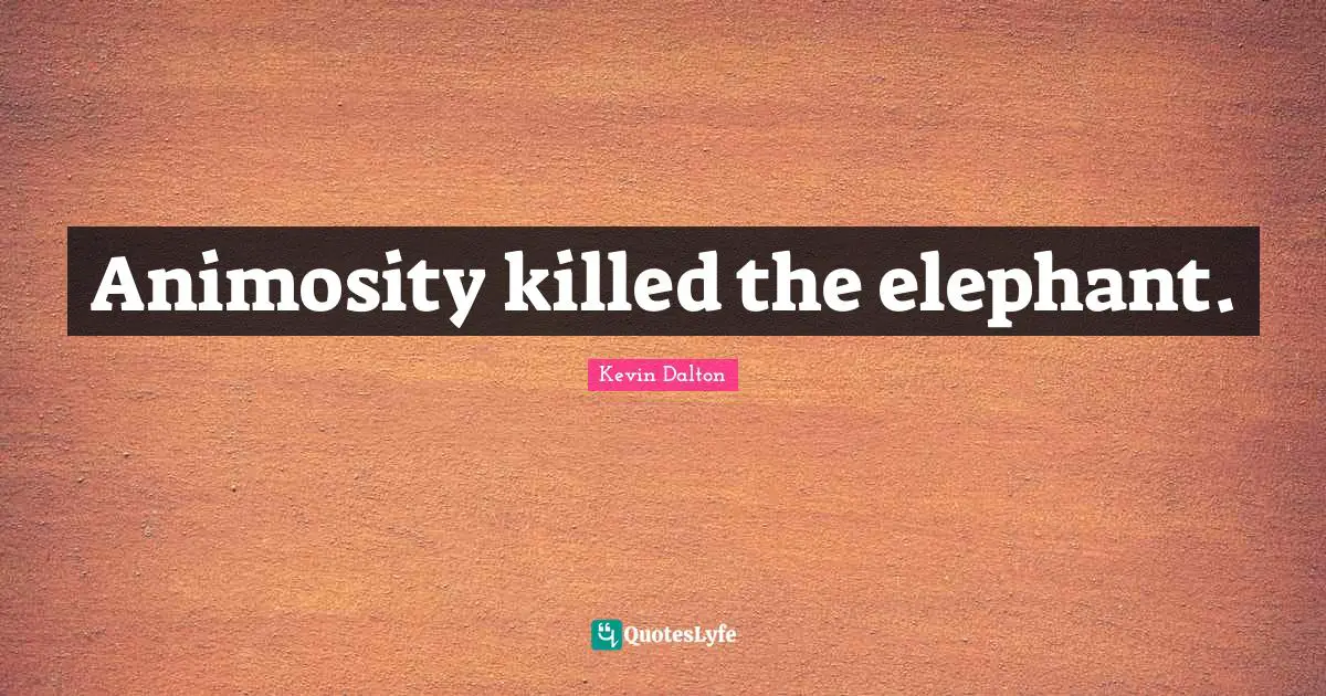 Animosity killed the elephant.