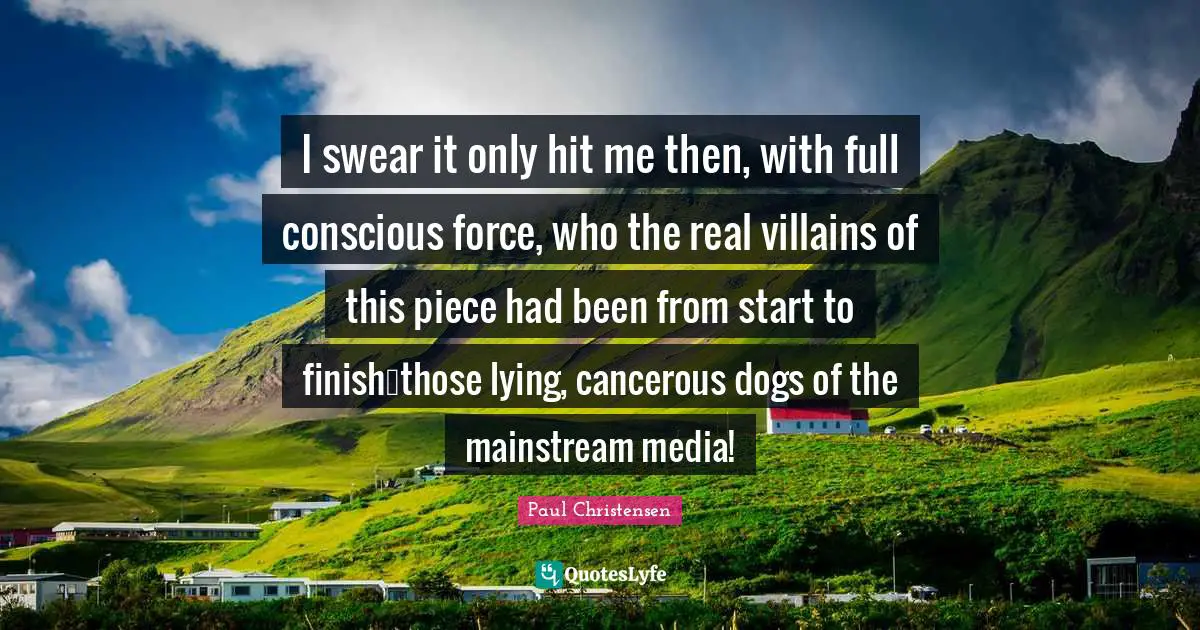 I swear it only hit me then, with full conscious force, who the real villains of this piece had been from start to finish…those lying, cancerous dogs of the mainstream media!