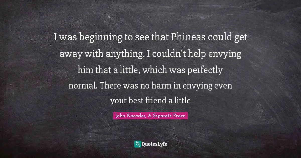 I was beginning to see that Phineas could get away with anything. I couldn't help envying him that a little, which was perfectly normal. There was no harm in envying even your best friend a little