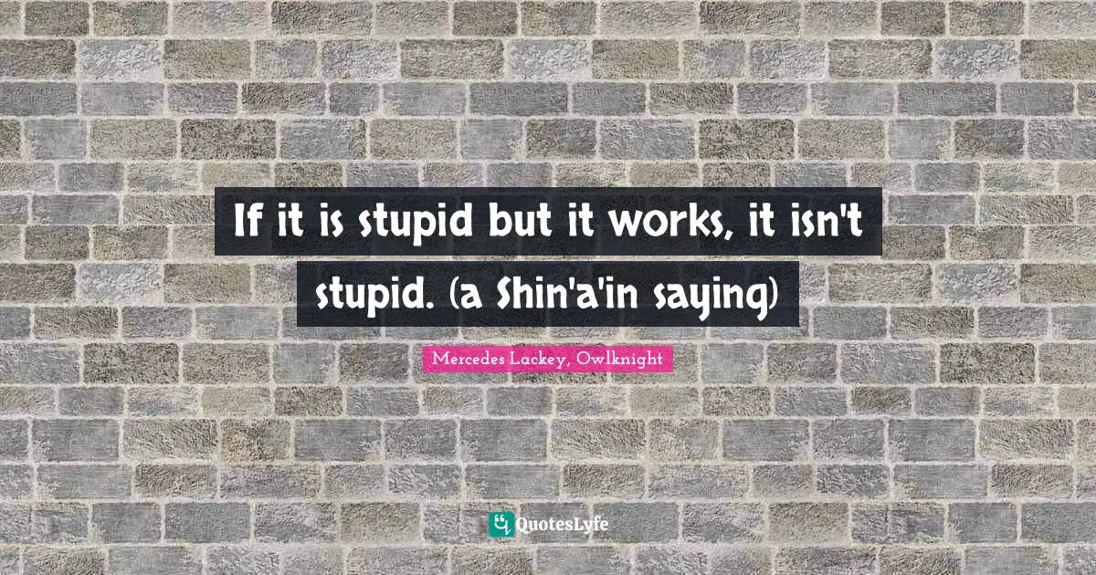 If it is stupid but it works, it isn't stupid. (a Shin'a'in saying)