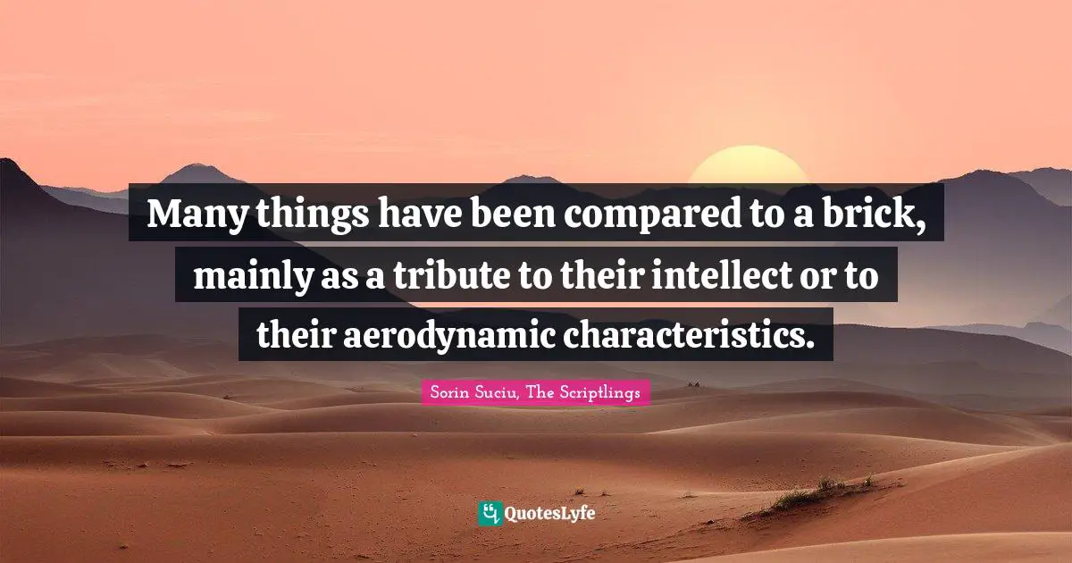 Many things have been compared to a brick, mainly as a tribute to their intellect or to their aerodynamic characteristics.