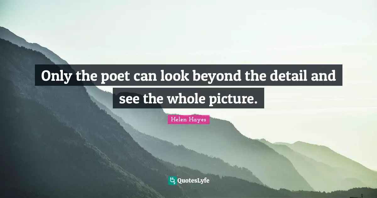 Only the poet can look beyond the detail and see the whole picture.