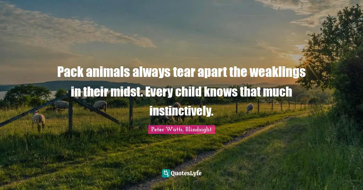 Pack animals always tear apart the weaklings in their midst. Every child knows that much instinctively.