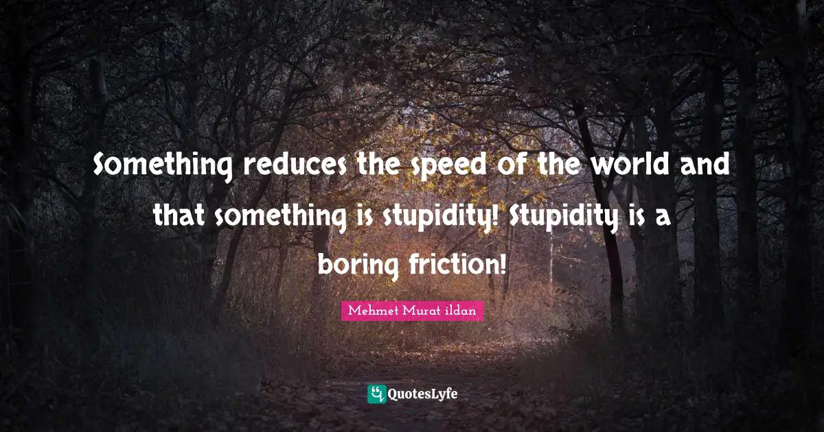 Something reduces the speed of the world and that something is stupidity! Stupidity is a boring friction!