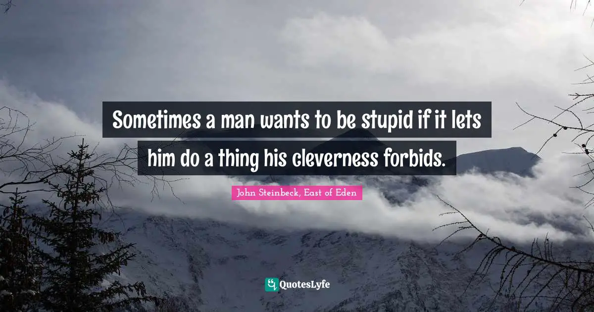 Sometimes a man wants to be stupid if it lets him do a thing his cleverness forbids.