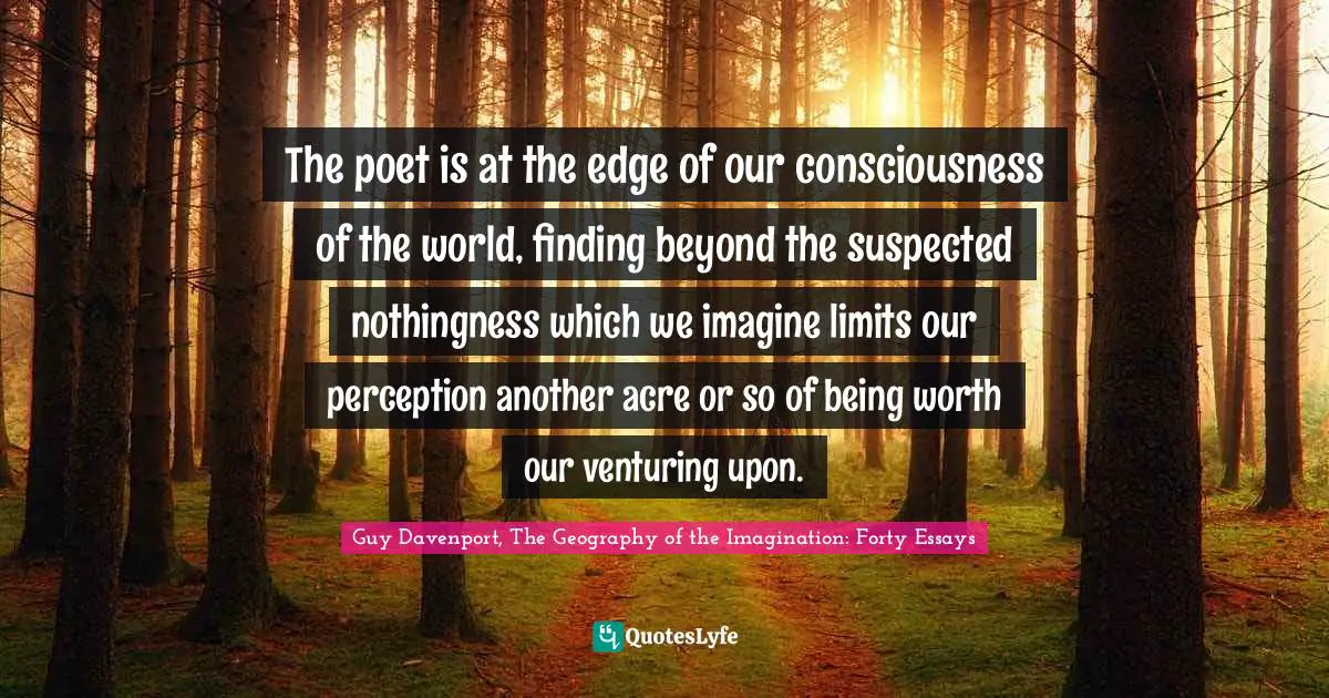 The poet is at the edge of our consciousness of the world, finding beyond the suspected nothingness which we imagine limits our perception another acre or so of being worth our venturing upon.
