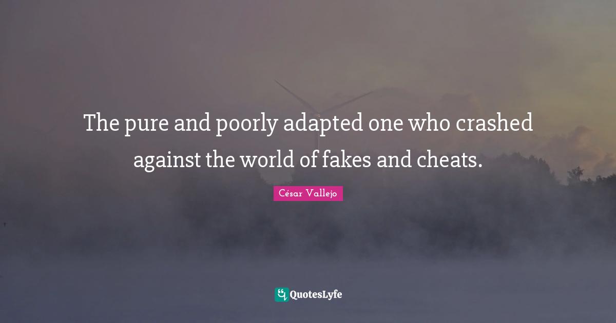 The pure and poorly adapted one who crashed against the world of fakes and cheats.