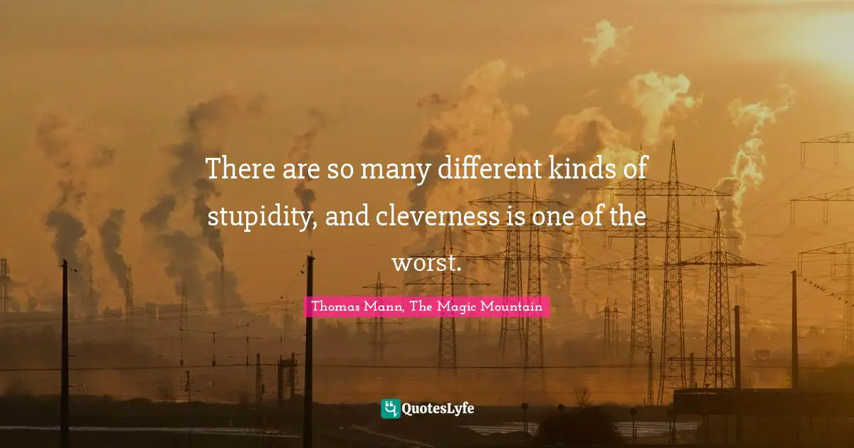 There are so many different kinds of stupidity, and cleverness is one of the worst.