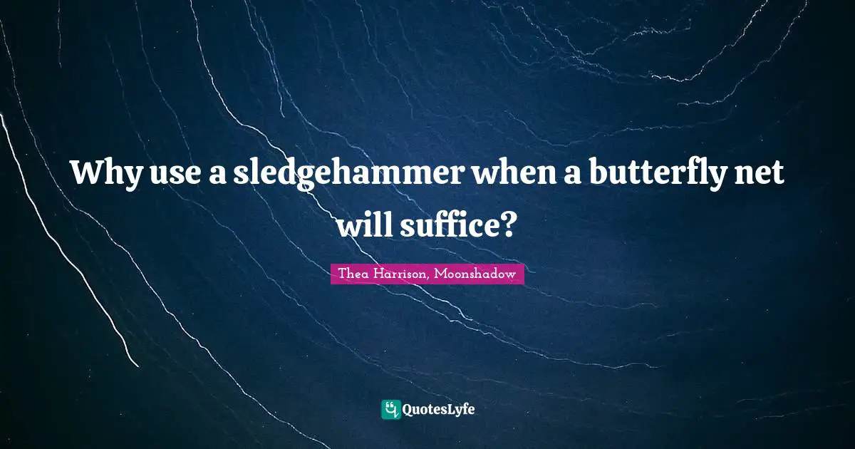 Why use a sledgehammer when a butterfly net will suffice?