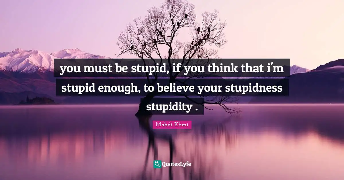 you must be stupid, if you think that i'm stupid enough, to believe your stupidness stupidity .