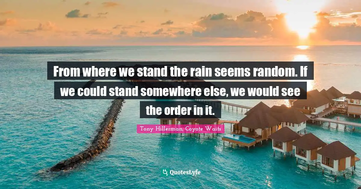 From where we stand the rain seems random. If we could stand somewhere else, we would see the order in it.