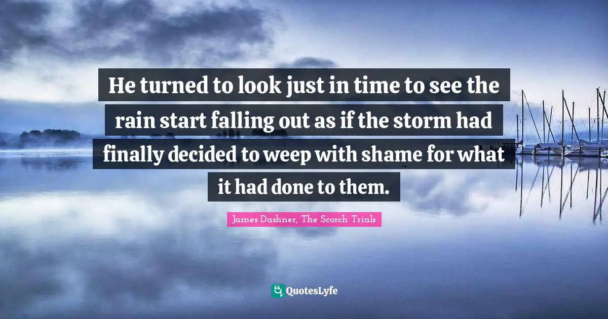 He turned to look just in time to see the rain start falling out as if the storm had finally decided to weep with shame for what it had done to them.