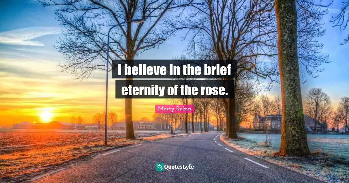 Transience Quotes: "I believe in the brief eternity of the rose."