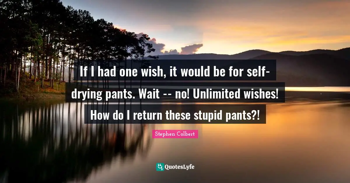If I had one wish, it would be for self-drying pants. Wait -- no! Unlimited wishes! How do I return these stupid pants?!