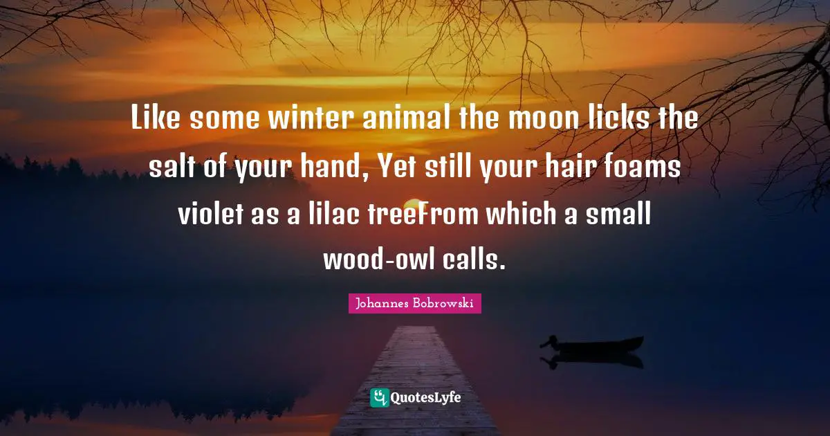 Like some winter animal the moon licks the salt of your hand, Yet still your hair foams violet as a lilac treeFrom which a small wood-owl calls.