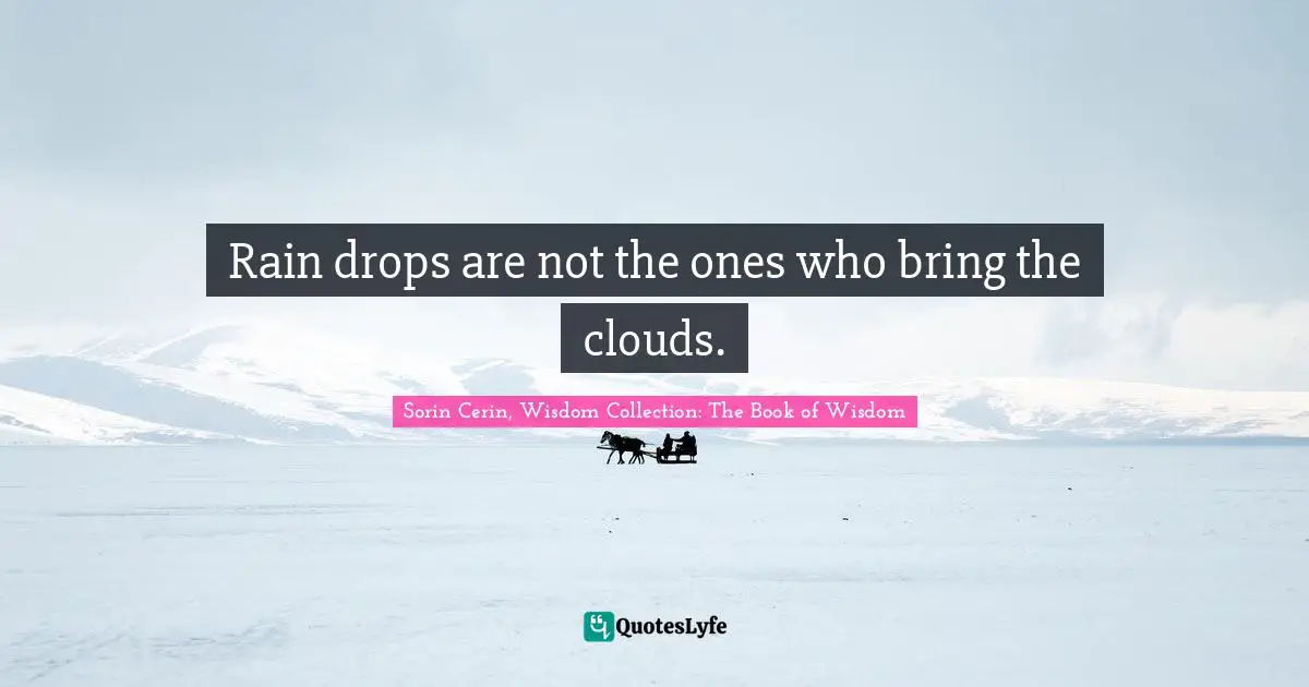 Sorin Cerin, Wisdom Collection: The Book Of Wisdom Quotes: "Rain drops are not the ones who bring the clouds."