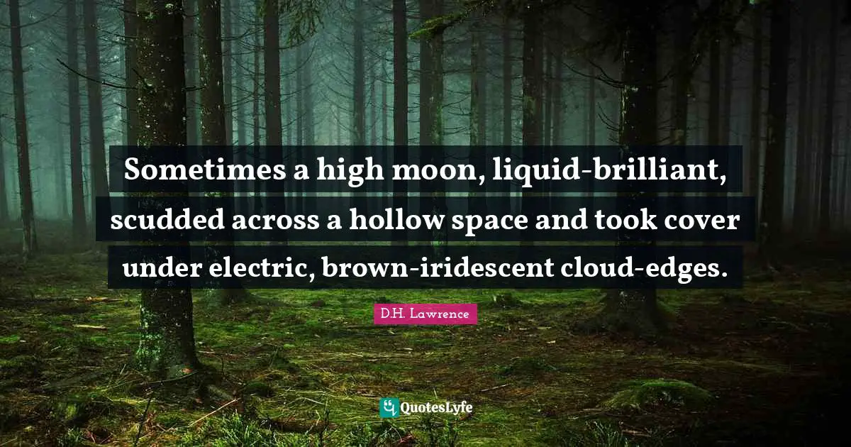 Sometimes a high moon, liquid-brilliant, scudded across a hollow space and took cover under electric, brown-iridescent cloud-edges.