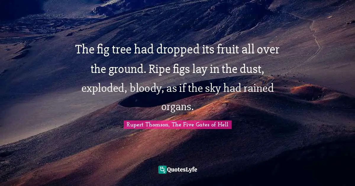 The fig tree had dropped its fruit all over the ground. Ripe figs lay in the dust, exploded, bloody, as if the sky had rained organs.