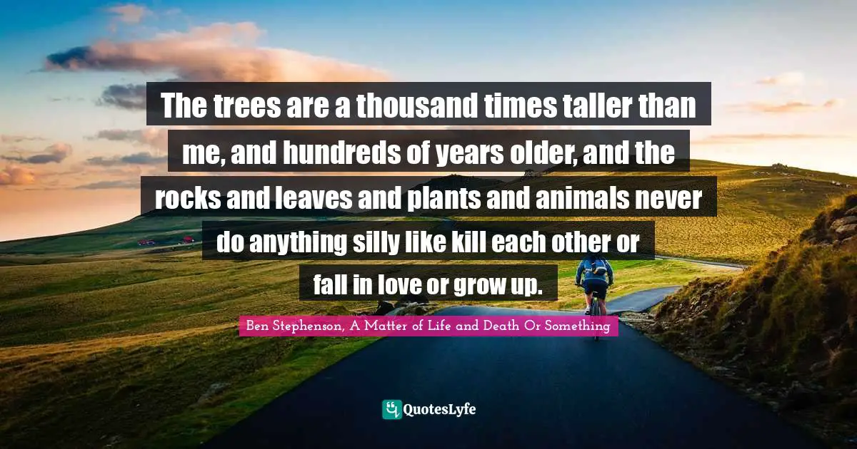 The trees are a thousand times taller than me, and hundreds of years older, and the rocks and leaves and plants and animals never do anything silly like kill each other or fall in love or grow up.