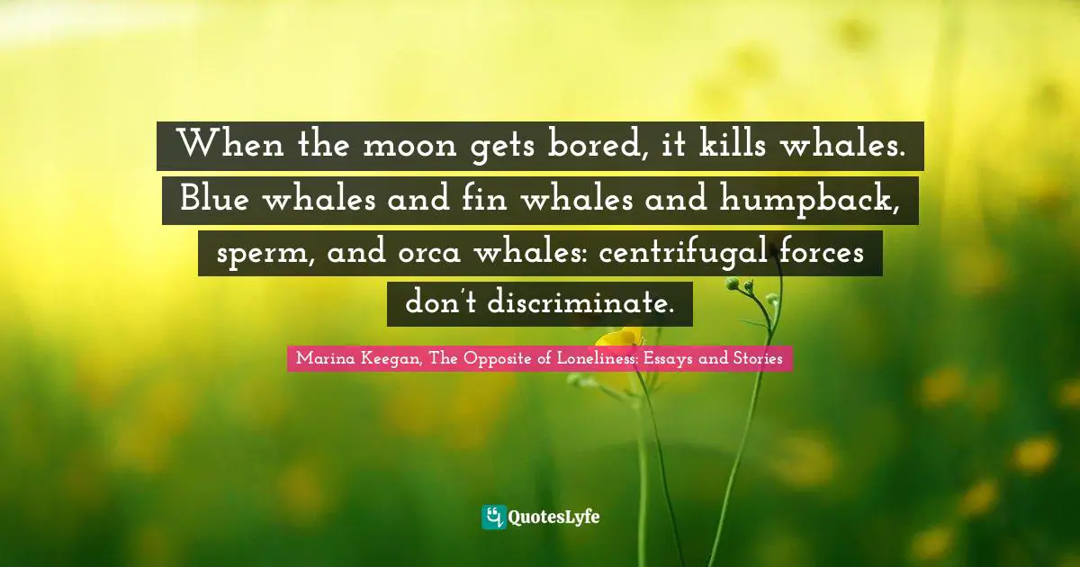 When the moon gets bored, it kills whales. Blue whales and fin whales and humpback, sperm, and orca whales: centrifugal forces don’t discriminate.
