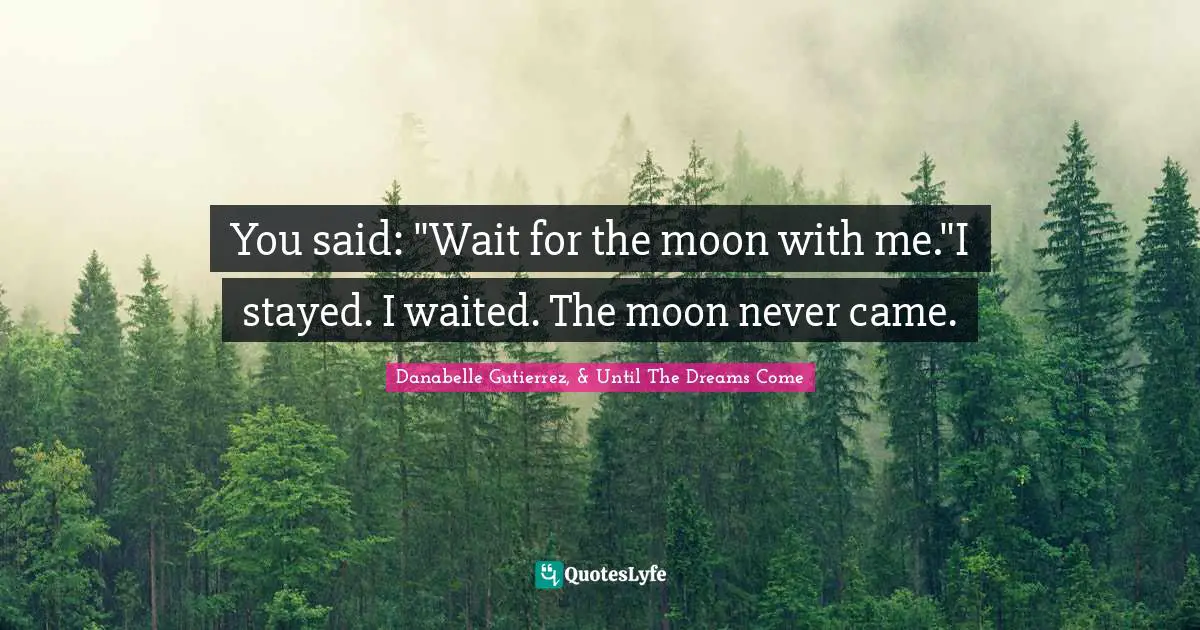You said: "Wait for the moon with me."I stayed. I waited. The moon never came.