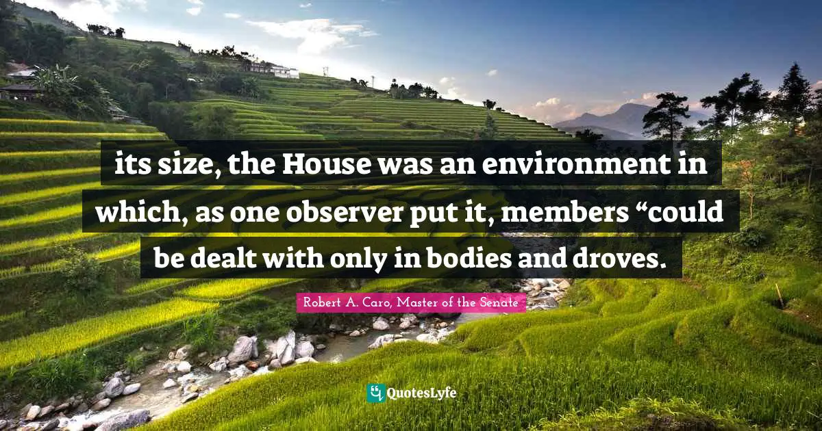 its size, the House was an environment in which, as one observer put it, members “could be dealt with only in bodies and droves.