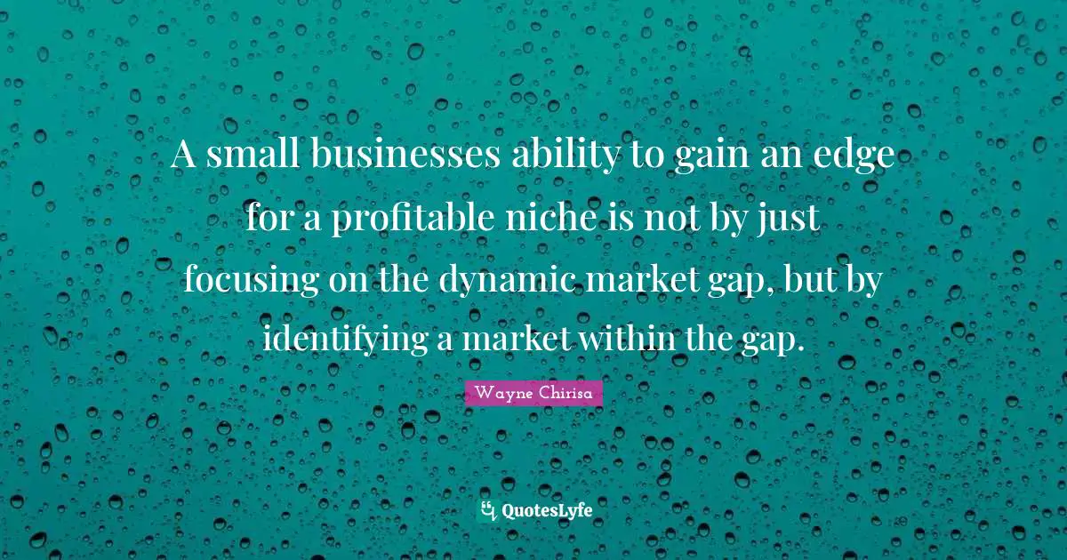 Wayne Chirisa Quotes: A small businesses ability to gain an edge for a profitable niche is not by just focusing on the dynamic market gap, but by identifying a market within the gap.