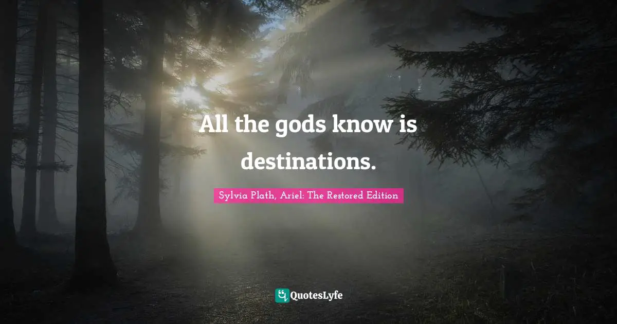 All the gods know is destinations.