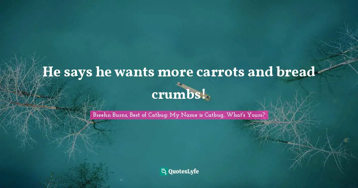 He says he wants more carrots and bread crumbs!