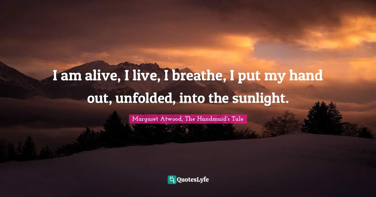 I am alive, I live, I breathe, I put my hand out, unfolded, into the sunlight.