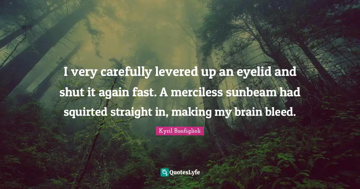 I very carefully levered up an eyelid and shut it again fast. A merciless sunbeam had squirted straight in, making my brain bleed.