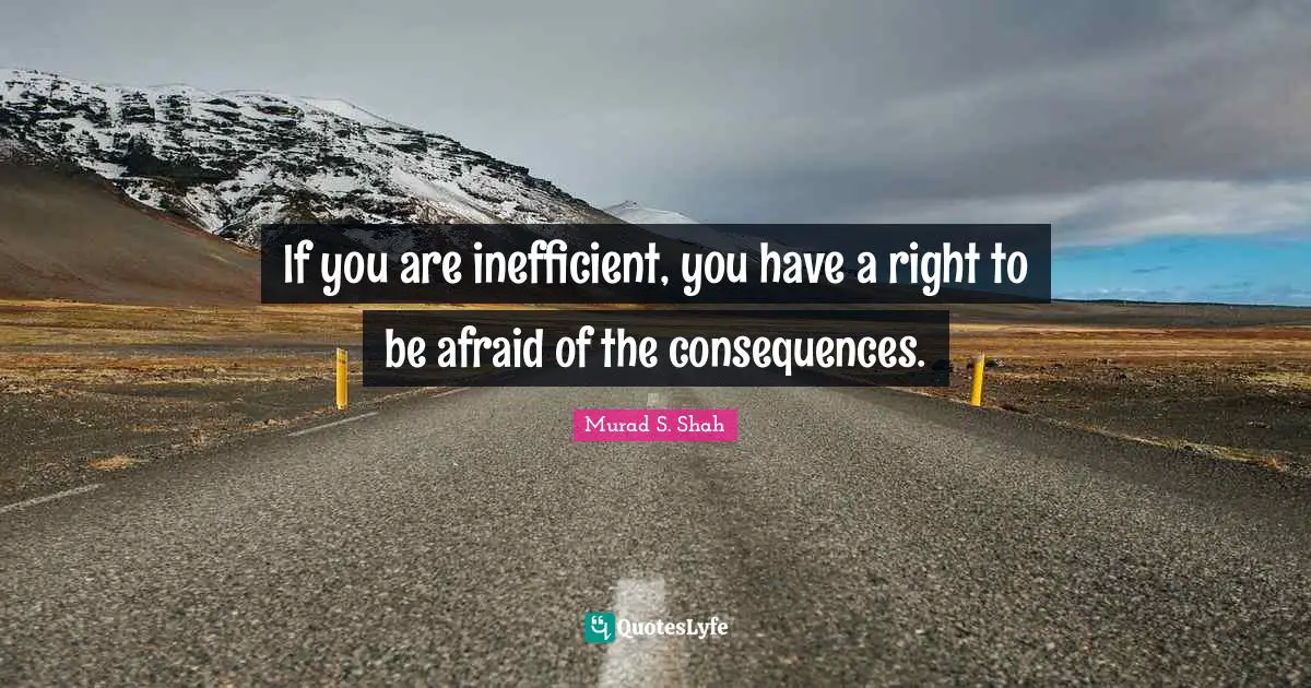 Inefficiency Quotes: "If you are inefficient, you have a right to be afraid of the consequences."