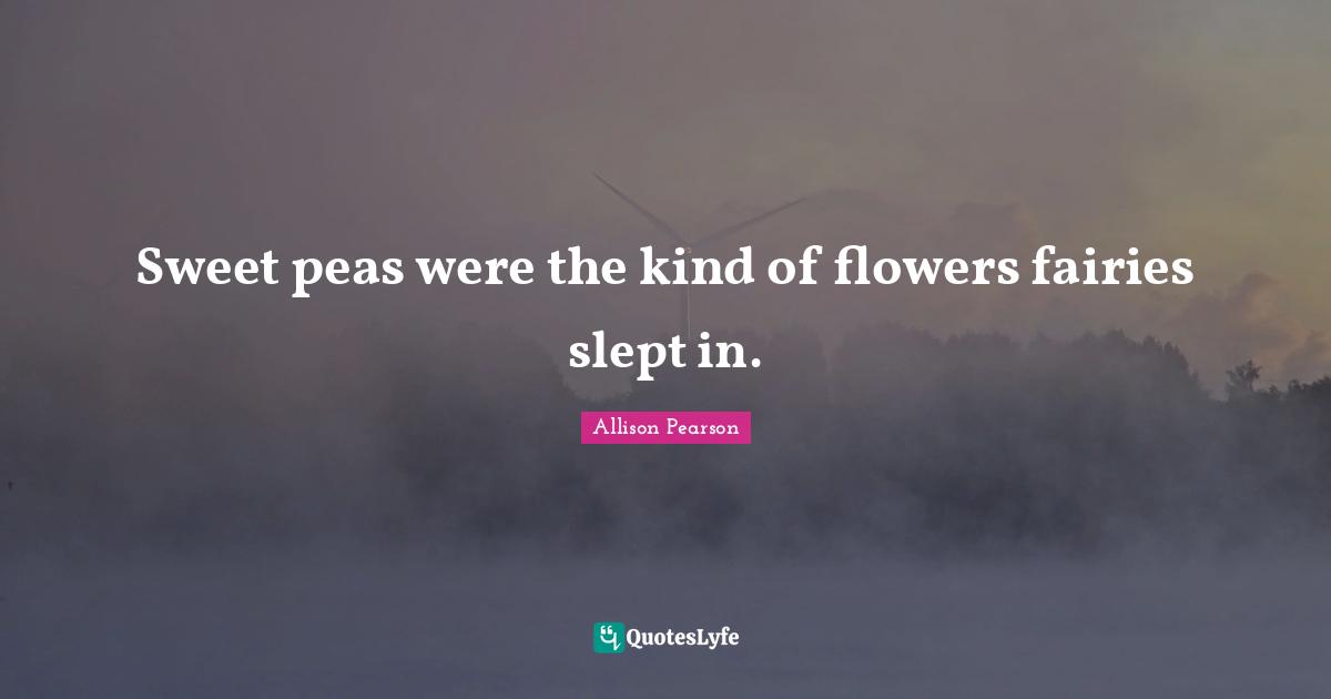 Sweet peas were the kind of flowers fairies slept in.