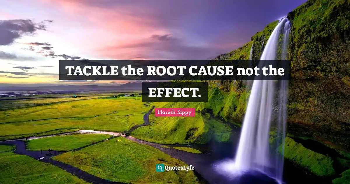 Haresh Sippy Quotes: TACKLE the ROOT CAUSE not the EFFECT.